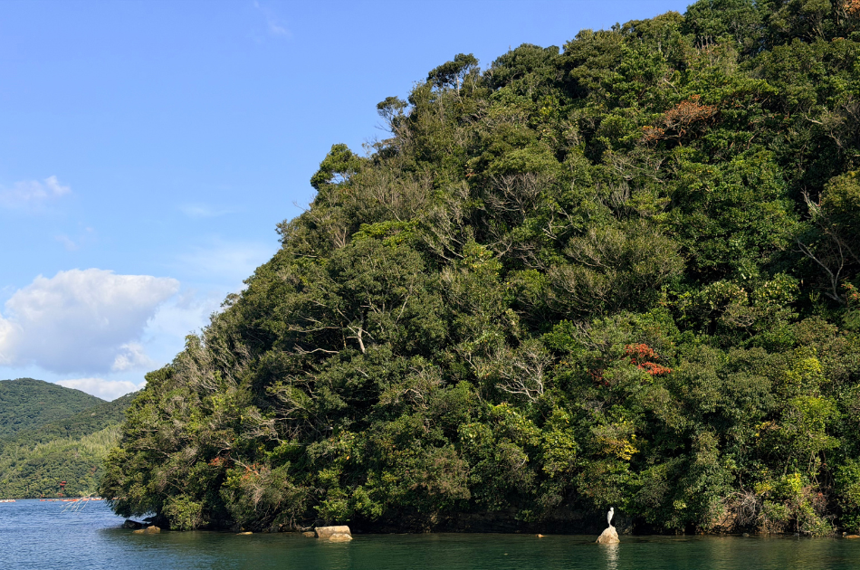 View from a small boat over an Akoya pearl farm bay in Tsushima, Japan