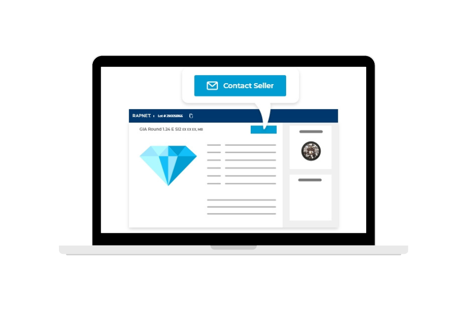 Screenshot from the Rapnet trading platform